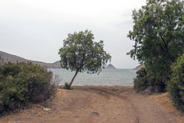 El değmemiş bir Beach Bodrum, Türkiye'de ağaçları ile bir görünüm
