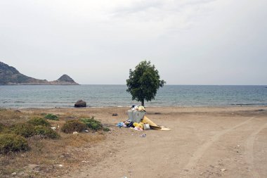 Bir plaj, çöp ve ağaçlar bir Bay Bodrum, Türkiye'de bir görünüm
