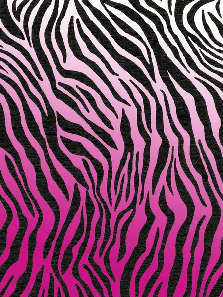 Papel Crepe Que Tem Padrão Zebra Para Papel Parede Fundos Imagens Royalty-Free