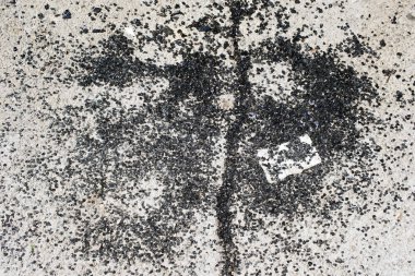 Asfalt yolda bir kırık siyah cam görünümü kadar yakın