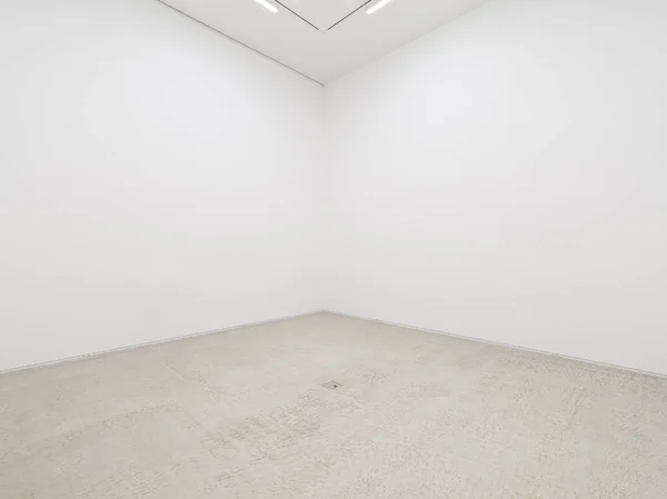 Bir beyaz bir görünümünü boş bir oda ya da bir sanat galerisi bir floresan aydınlatma ve beton zemin iç boyalı