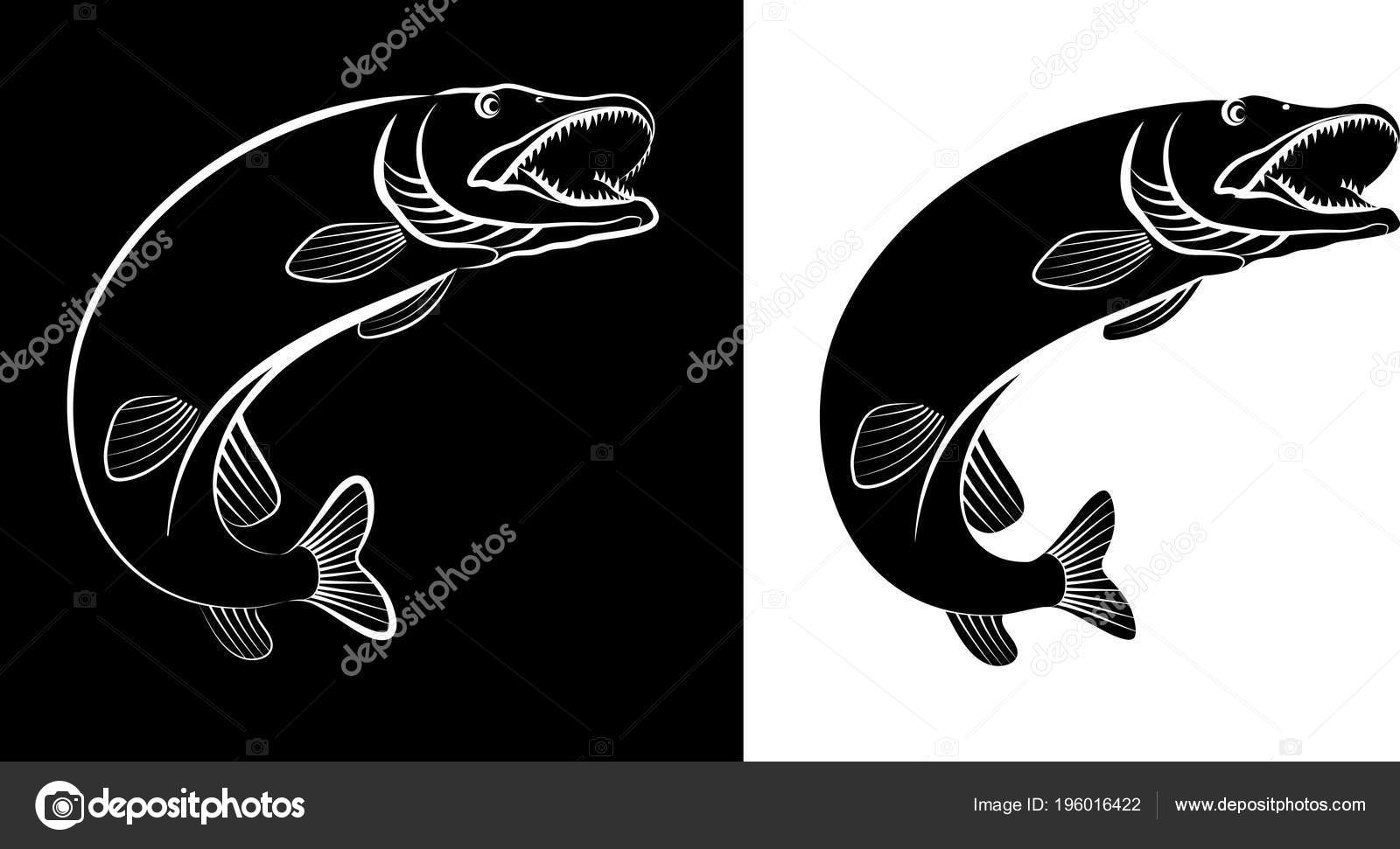 パイクの魚 クリップ アート イラスト — ストックベクター © mtmmarek