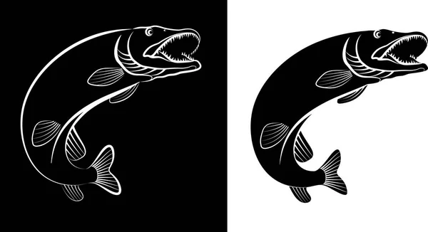 Pike fish - clip art illustration — Stock Illustration Pike Fish Clip Art Illustration Royalty Free Stock Vectors