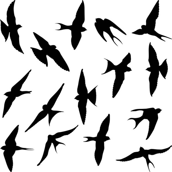 set of isolated swallow silhouettes