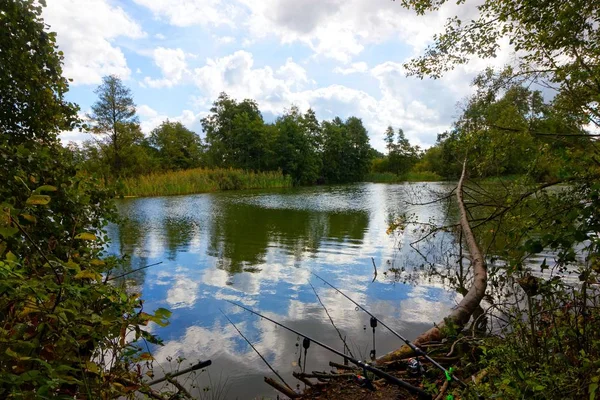 Canne Pesca Sulla Riva Lago Durante Giornata Estiva — Foto Stock