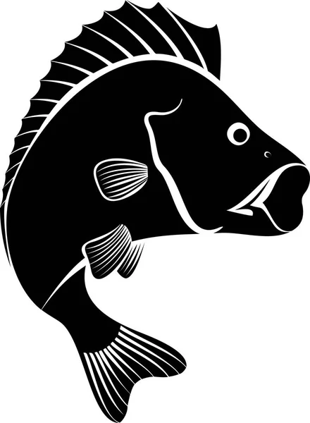 Perch Fish Monochrome Illustration — Stock Vector