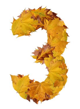 sonbahar yaprakları üzerinde beyaz izole numarasından