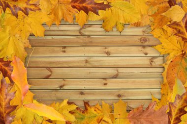ahşap arka plan üzerinde sonbahar yaprakları çerçevesinden
