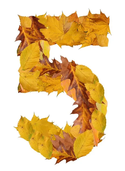 Number Autumn Leaves Isolated White — Stock Photo, Image