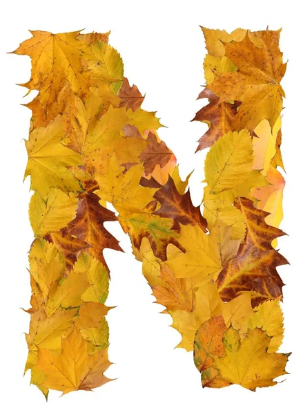Letter Autumn Leaves Isolated White — Stock Photo, Image