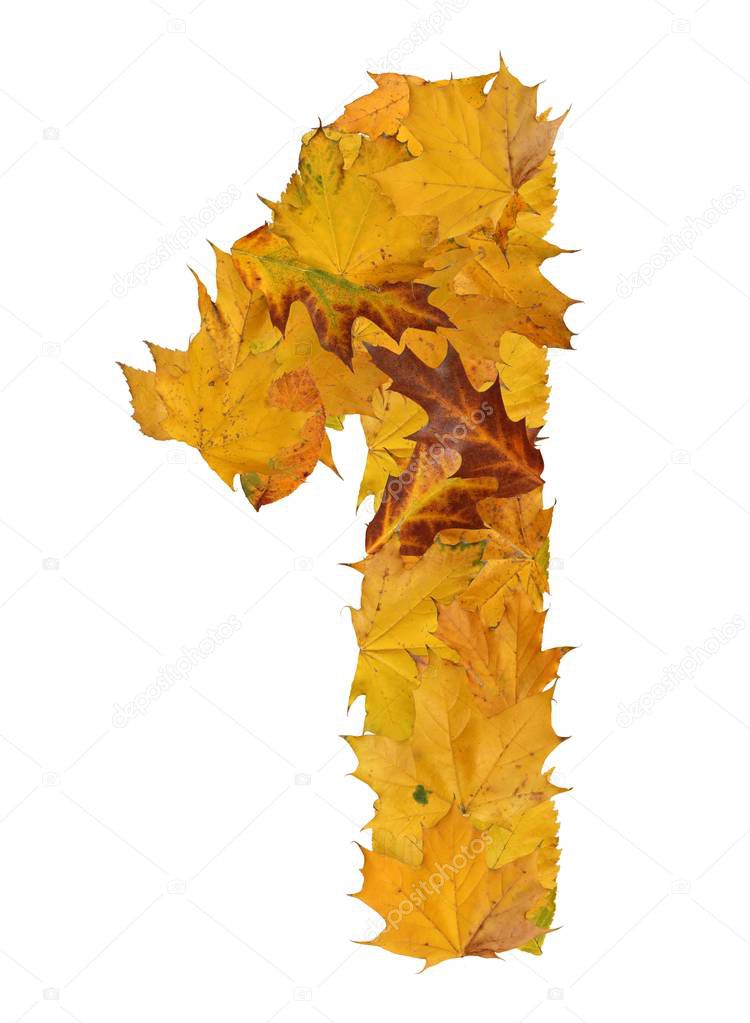 number from autumn leaves isolated on white