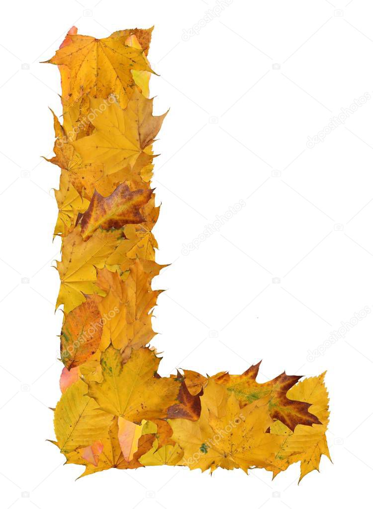 letter from autumn leaves isolated on white