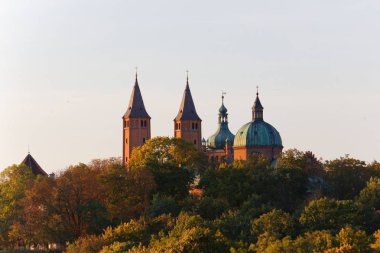Katedral kule ortasında sonbahar ağaçlar, Tumskie Hill Plock, Polonya