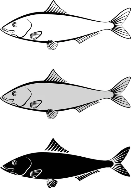 Herring Clip Art Illustration — Stock Vector