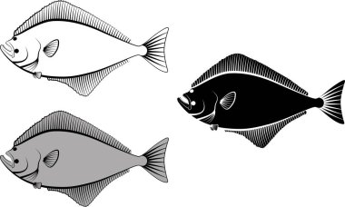 Halibut - klip sanat illüstrasyon