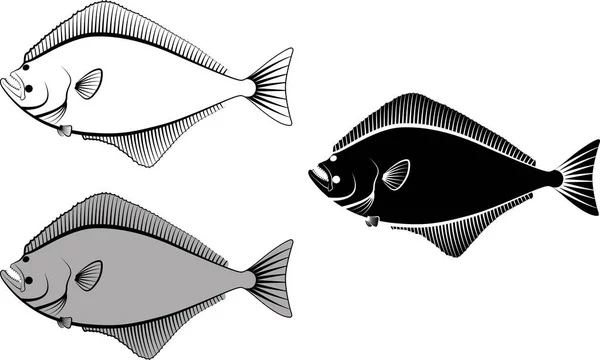 Halibut Ilustracja Klip — Wektor stockowy