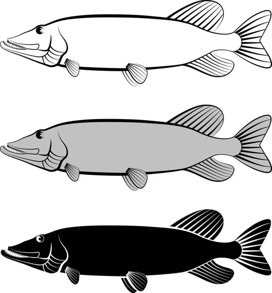 Pike Fish Clip Art Illustration — Stock Vector