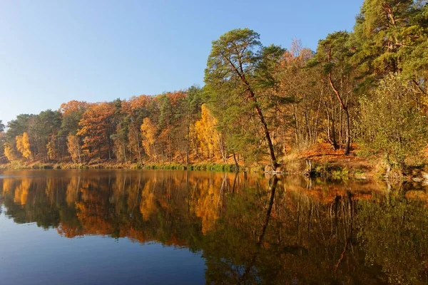 Autumn Trees Around Lake