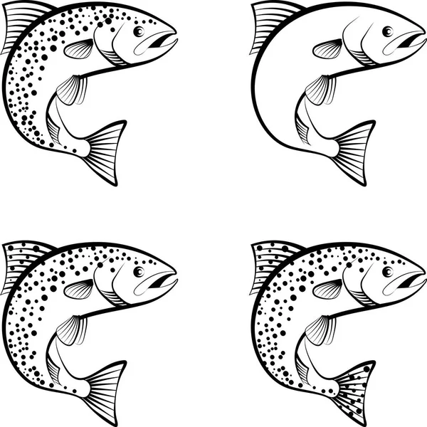 Salmon Trout Clip Art Illustration — Stock Vector