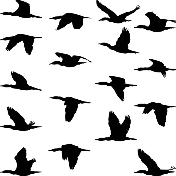 Siluetas Cormoranes Voladores Ilustración Vectorial — Archivo Imágenes Vectoriales