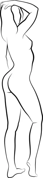裸体女人的剪影 — 图库矢量图片