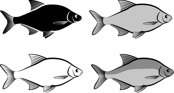 Bream. — Vector de stock