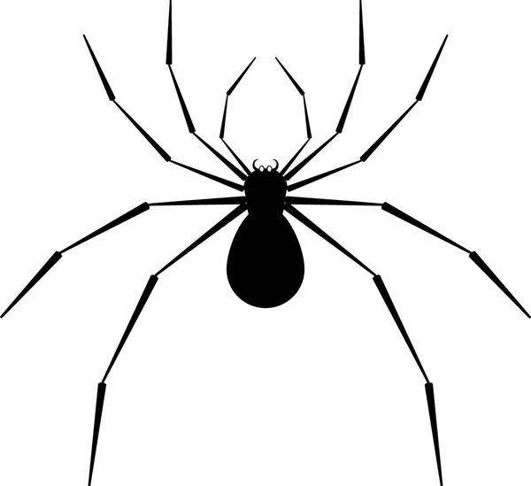 Araña — Archivo Imágenes Vectoriales