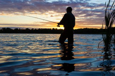 Silhouette of angler catching the fish durring sunset clipart