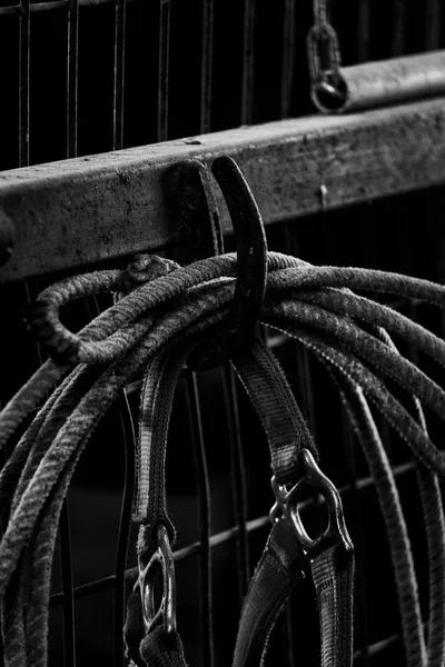 Old Horseshoe Used Hook Hold Rope Roping Horses — Stock Photo, Image