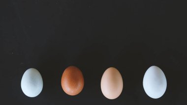 Kahverengi ve mavi tavuk yumurtası tarladan kopya alanı renklerle yumurta gıda grafik için arka plan göster:.