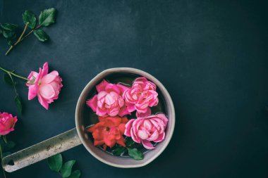 Pembe Gül float yeşilliklerle siyah arka plan ile tencerede. Kopya alanı romantik konsepti için.