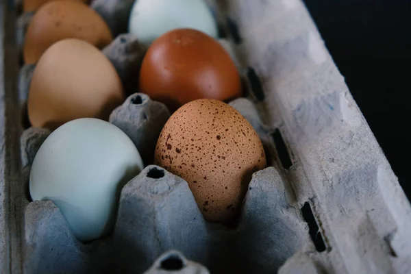 Carton holds eggs fresh from farm.  Protein food ingredient in raw form close up.