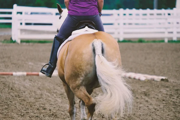 Horseback riding in arena