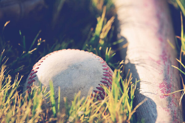 Baseball closeup in grass on field