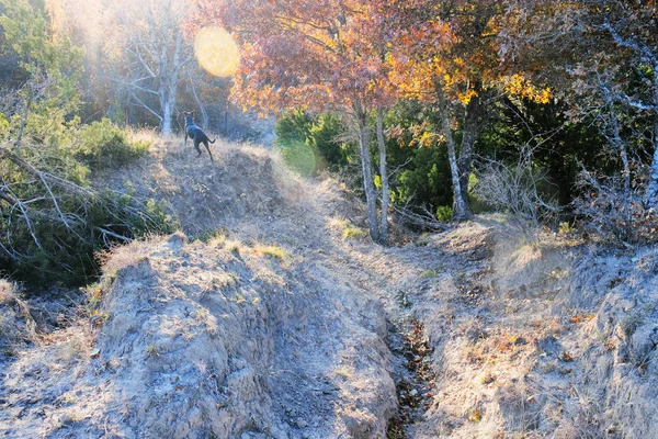 Texas hill during fall season