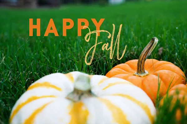 Boldog őszi banner — Stock Fotó