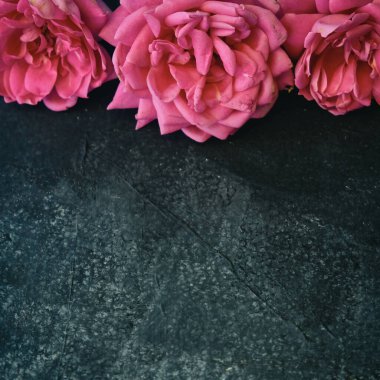 Siyah desenli güllerin üst görünümü, pembe çiçekli.