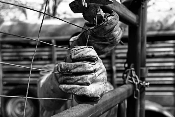 Boerderij Omheining Met Versleten Handschoenen Zwart Wit — Stockfoto