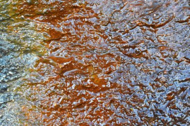 A yakın çekim bir kaya üzerine renkli desenli