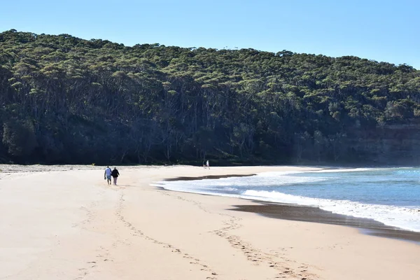 Zwei Paare Die Händchenhaltend Strand Spazieren Gehen — Stockfoto