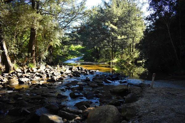 Oversteek Van Een Rivier Met Bomen Rotsen — Stockfoto