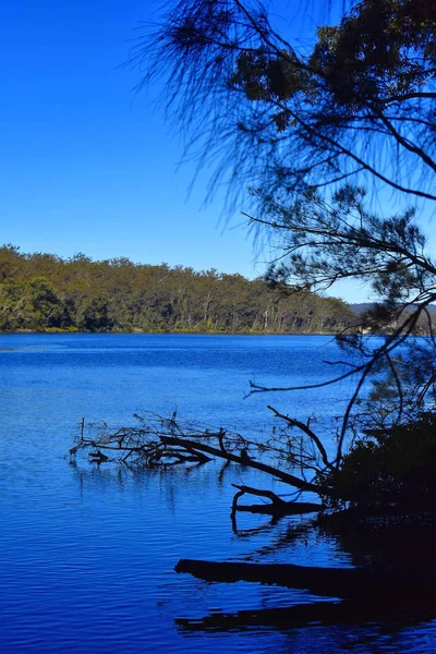 Clyde River Nsw Australië — Stockfoto