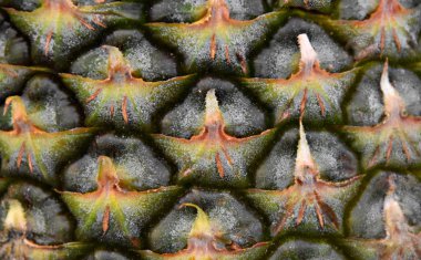 Bir ananasın yakın çekimi.