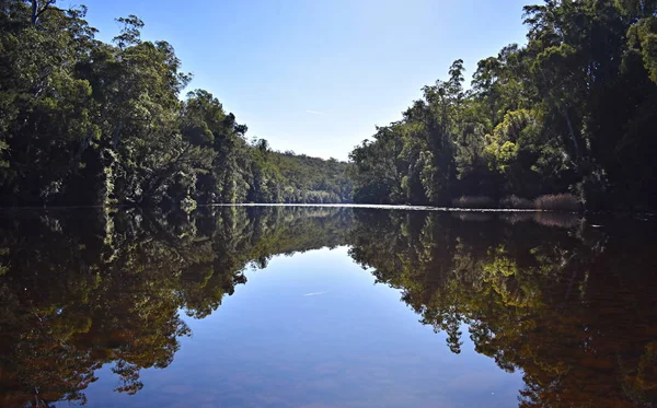 Een Australische Rivier Met Bomen Weerspiegeling Het Water — Stockfoto