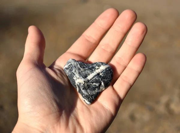 Una Hembra Sosteniendo Una Roca Forma Corazón Blanco Negro Playa — Foto de Stock