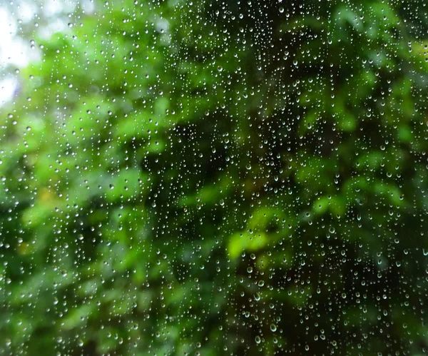 Gouttelettes Pluie Sur Verre Avec Fond Vert — Photo