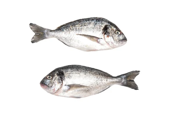 Дві свіжої риби Доріадос ізольовані на білому фоні — стокове фото