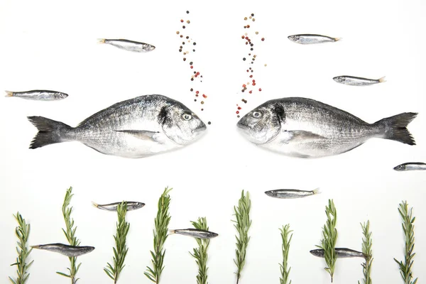 新鲜的多拉多鱼在白色背景与烹饪的成分 — 图库照片