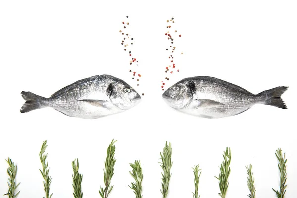 Свіжа риба-Дорада на білому тлі з інгредієнтами для приготування їжі — стокове фото
