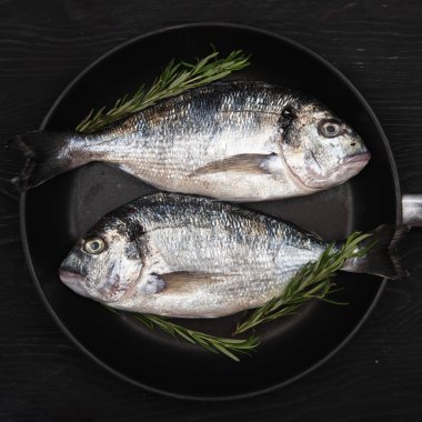 Koyu bir arka plan üzerinde bir tavada taze fikse dorado